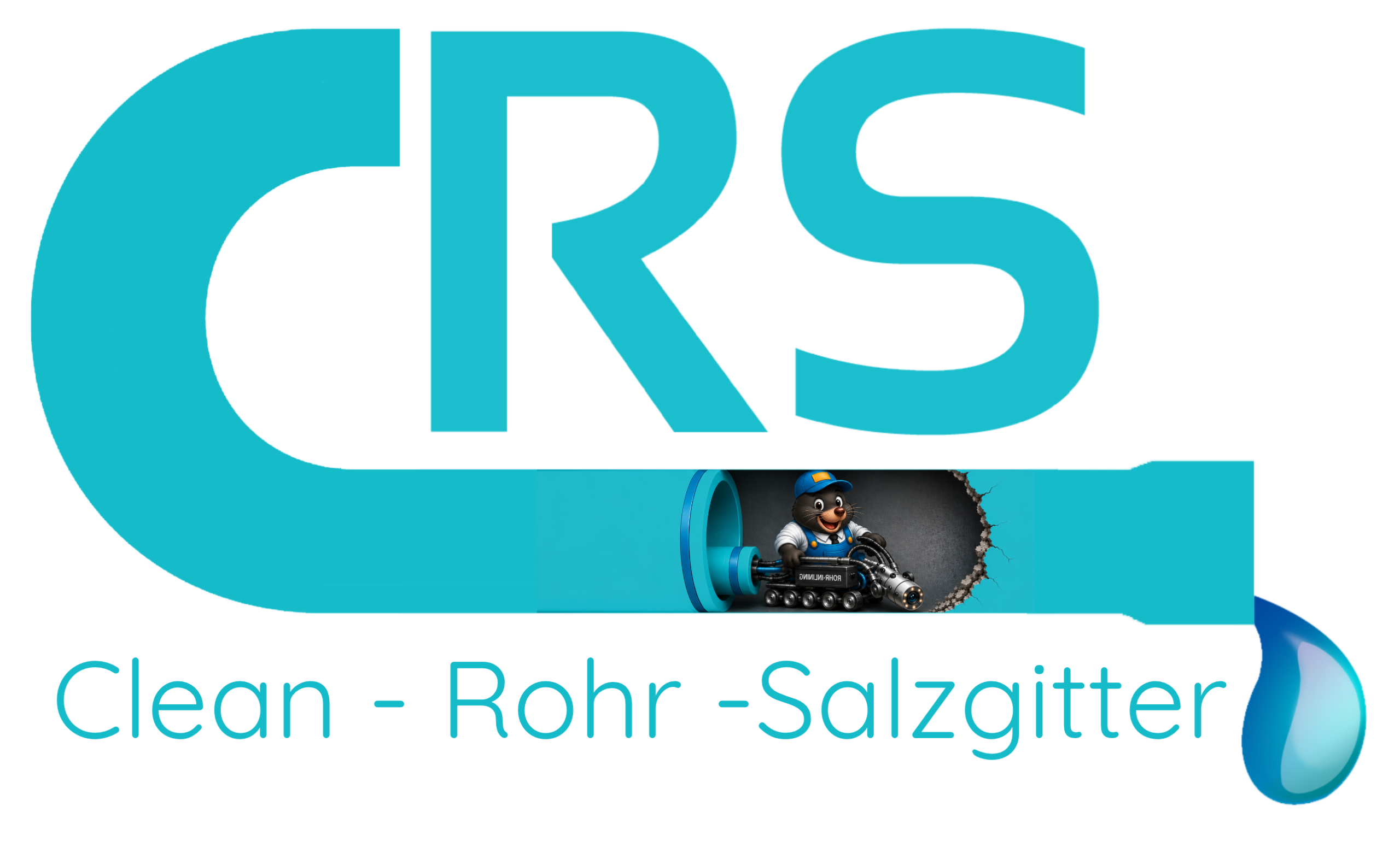CRS_Version2